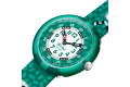 ZFBNP170_fa100_er007.png