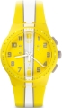 SUSJ100_4m.jpg